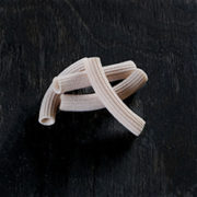 Pasta Famiglia Salvatelli formato Sedanini